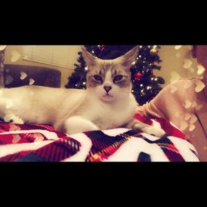 Meet your Posher, Brittney